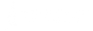 Indoor Cricket NZ